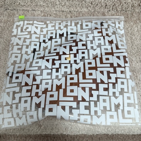 NIB Longchamp LE PLIAGE ORIGINAL POUCH WITH HANDLE cognac - Picture 4 of 8